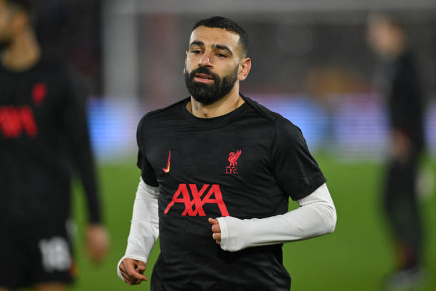 立刻成为各 立刻成为各